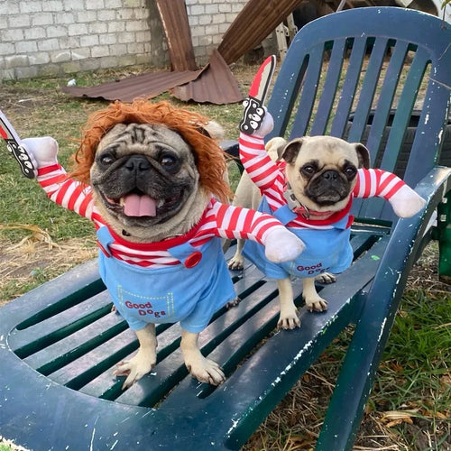 Dog Halloween costume detail view